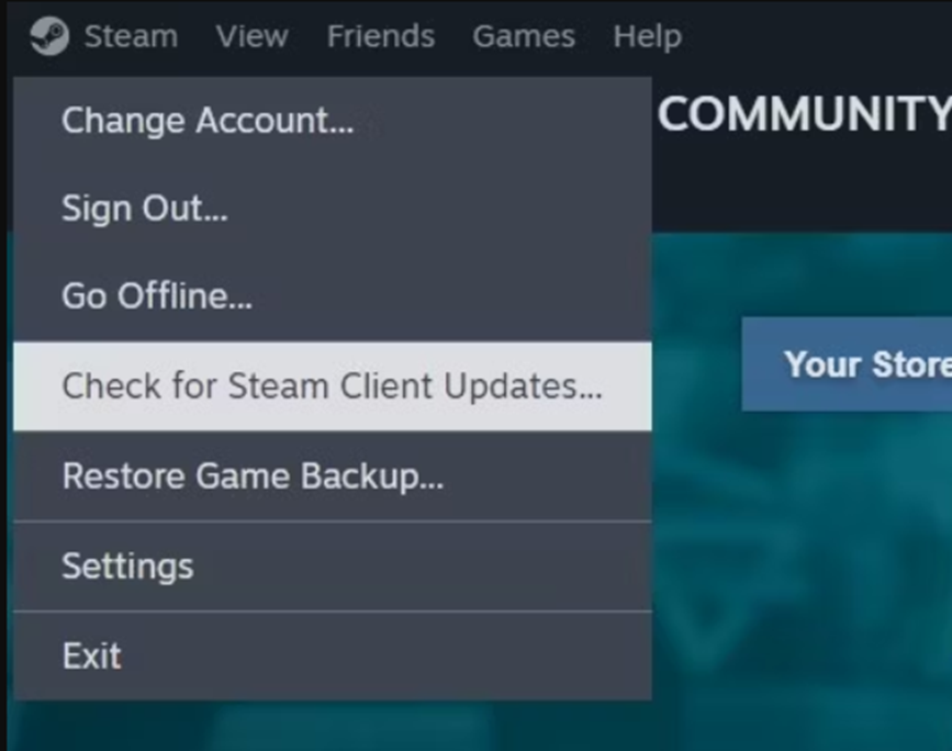 Updating Steam on Asus ROG Ally