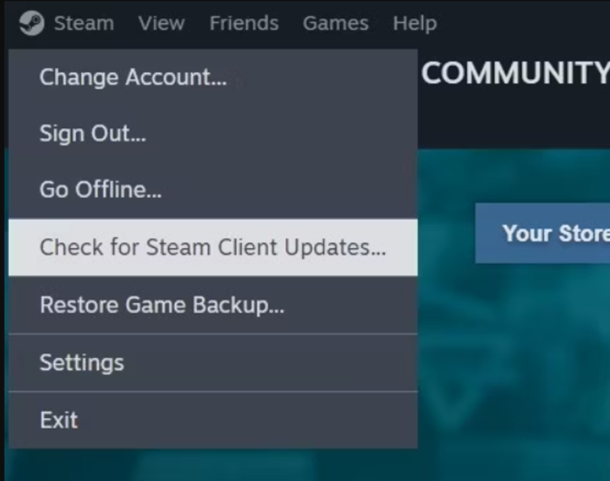 Steam not detecting controller on asus rog ally 