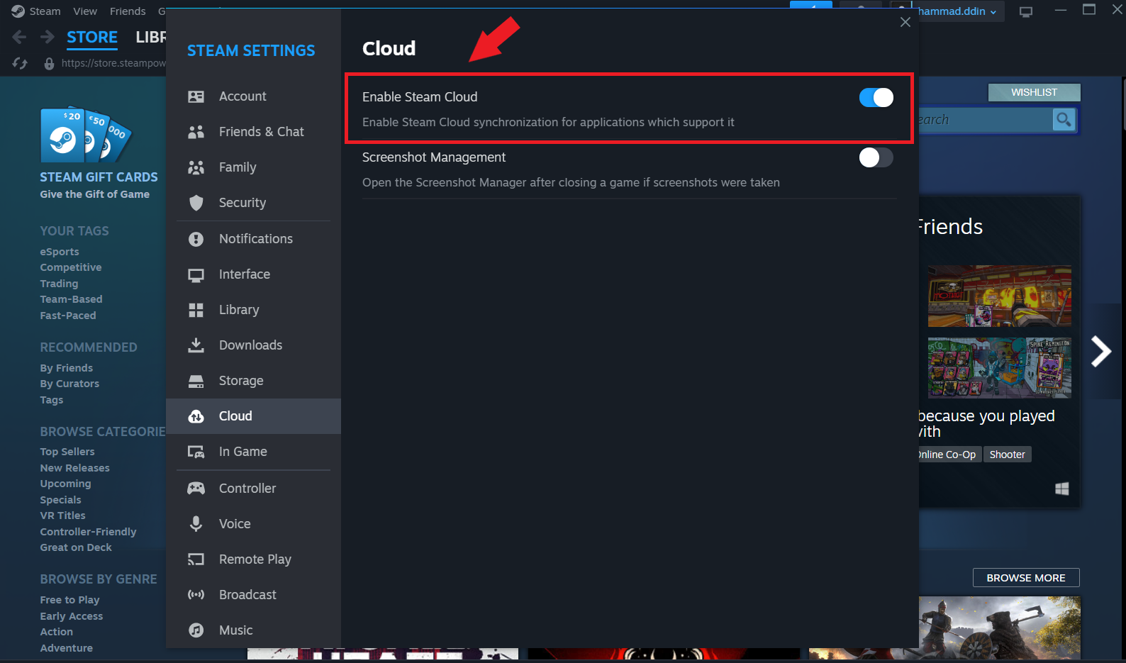 steam-settings-cloud