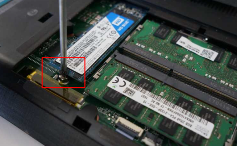 Fix: New SSD Not Showing Up on Windows 11 (5 Easy Methods)