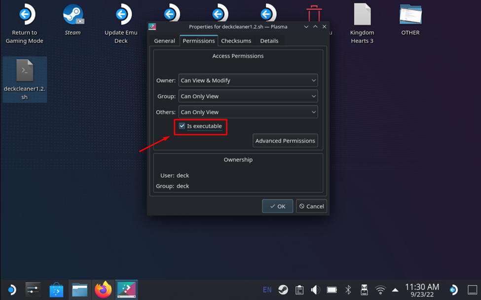 Enabling Execution on Steam Deck Cleaner