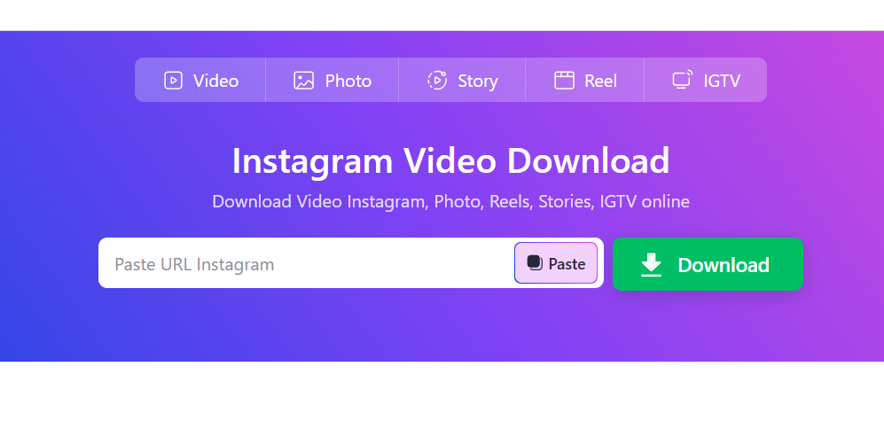 SnapInsta Video Downloader