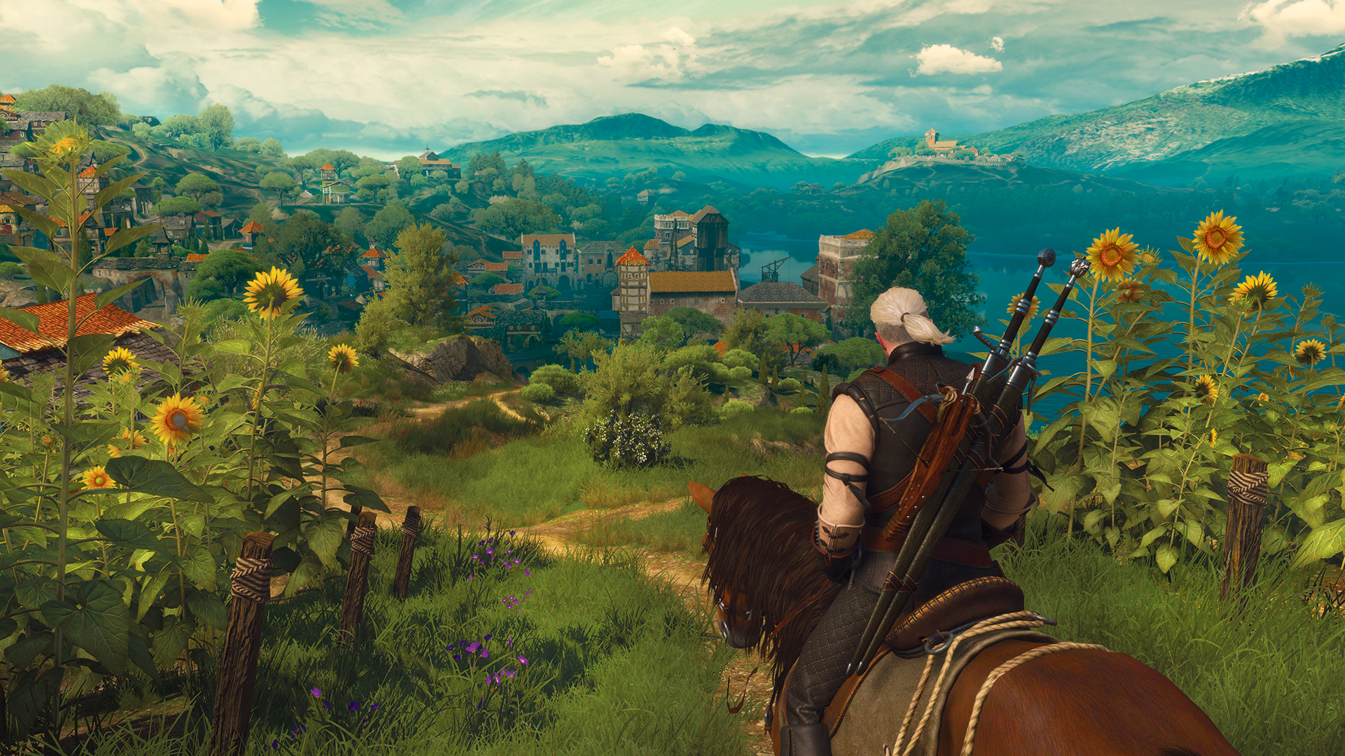 Witcher 3 Wild Hunt on Steam Deck