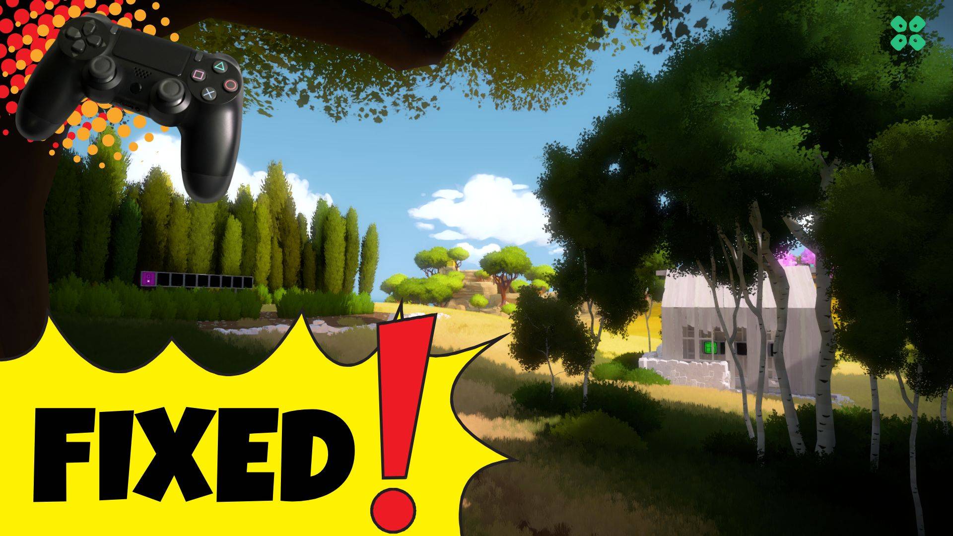 Artwork of TheWitness and its fix of crashing by TCG