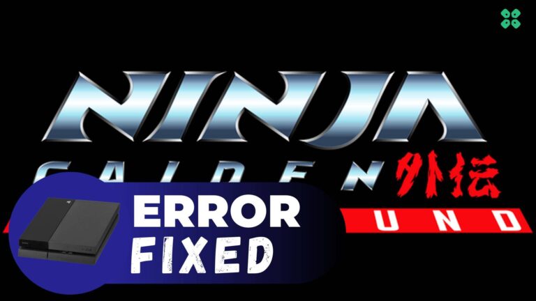 Artwork of NinjaGaidenRagebound and its fix of crashing by TCG